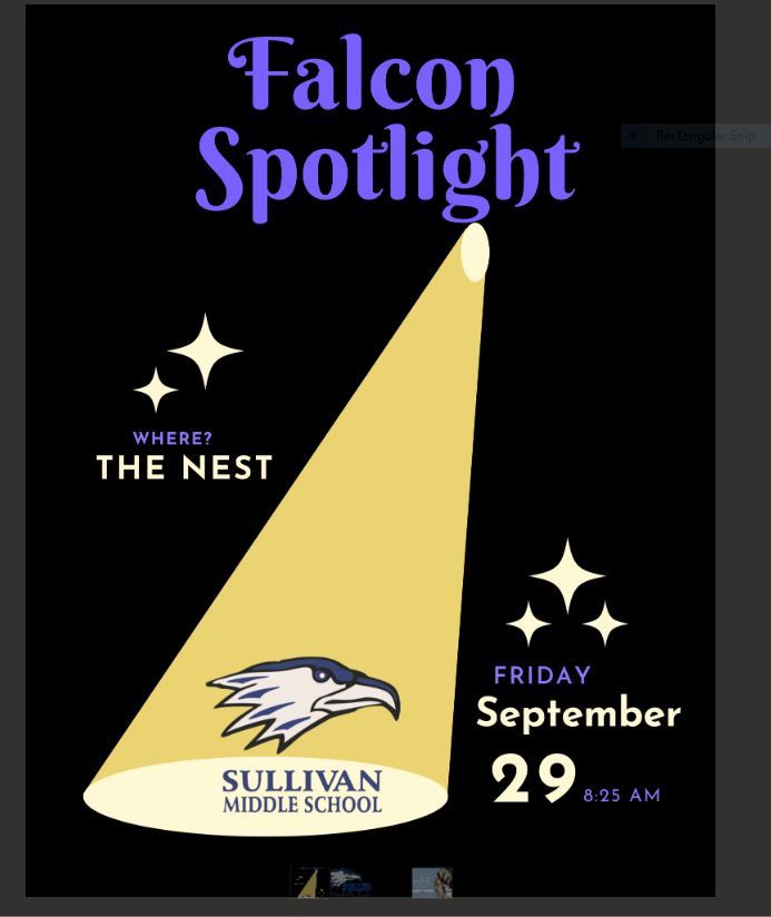  Falcon Spotlight